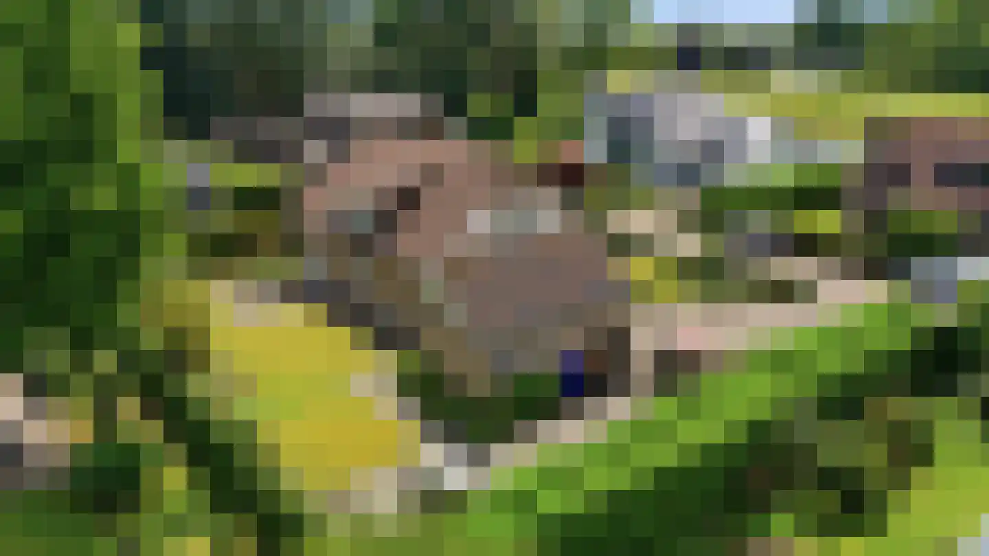 Diepenbrockstraat 5 Raamsdonksveer thumbnail 39