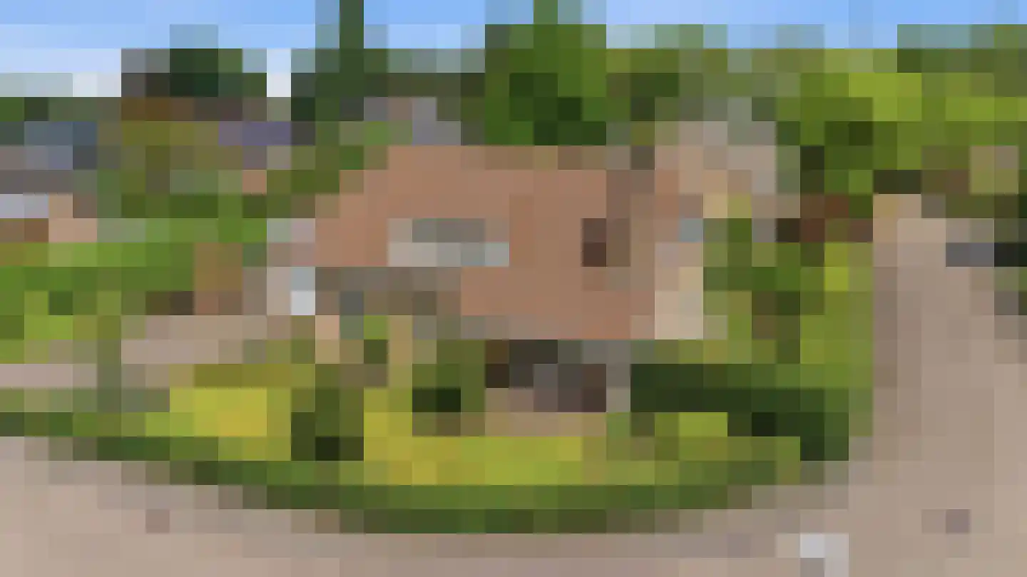 Diepenbrockstraat 5 Raamsdonksveer thumbnail 4