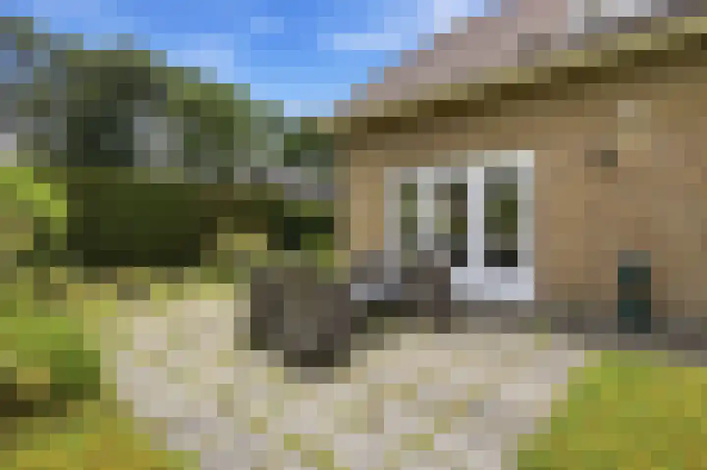 Diepenbrockstraat 5 Raamsdonksveer thumbnail 43