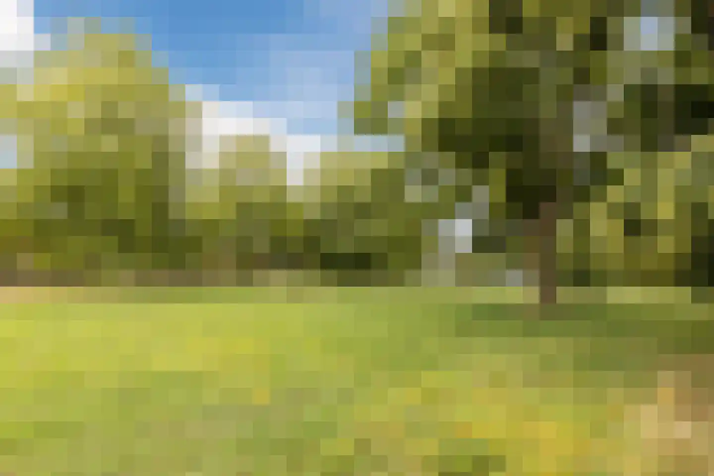 Diepenbrockstraat 5 Raamsdonksveer thumbnail 47