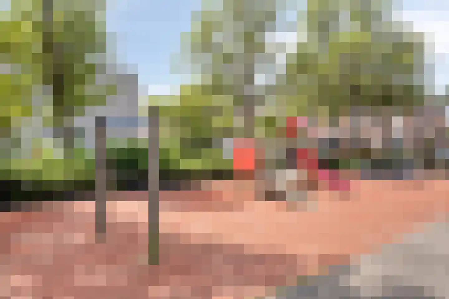 Diepenbrockstraat 5 Vlaardingen thumbnail 21