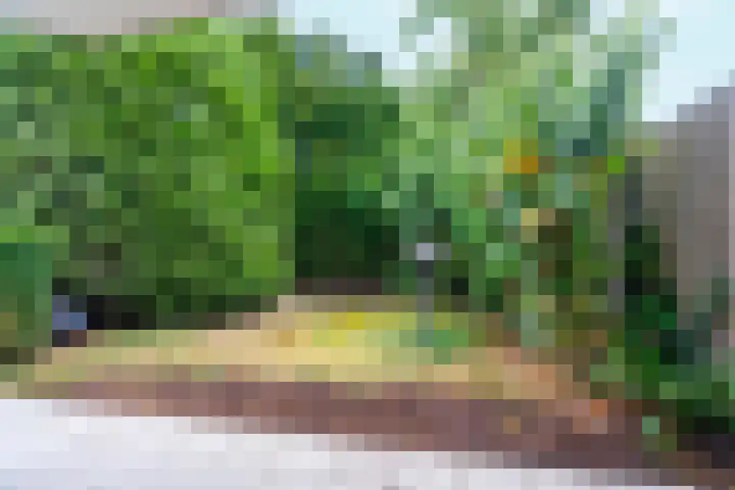 Diepenbrockstraat 55 Schijndel thumbnail 38
