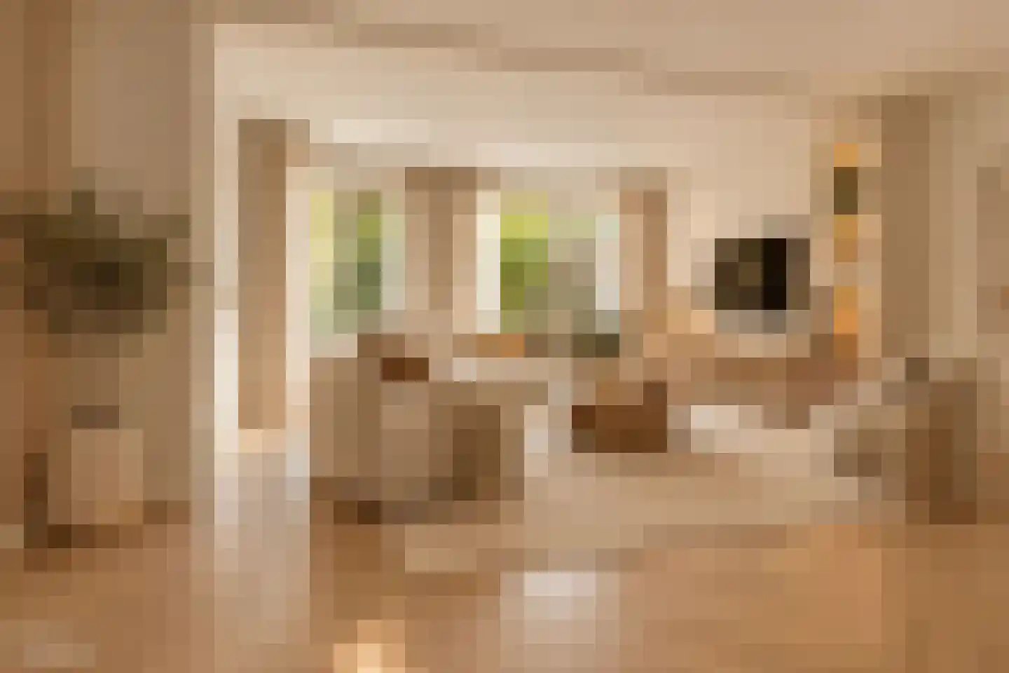 Diepenbrockstraat 55 Schijndel thumbnail 5
