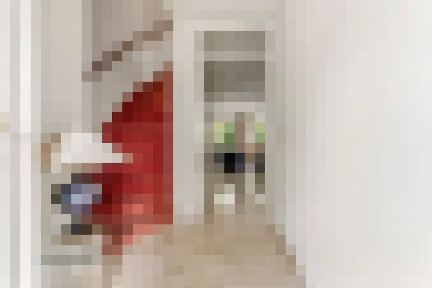 Diepenbrockstraat 55 Schijndel thumbnail 5