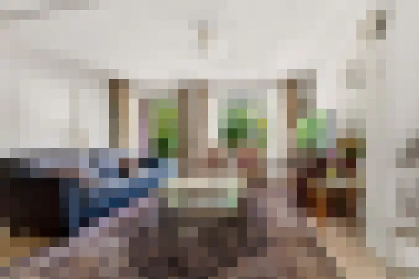 Diepenbrockstraat 55 Schijndel thumbnail 6