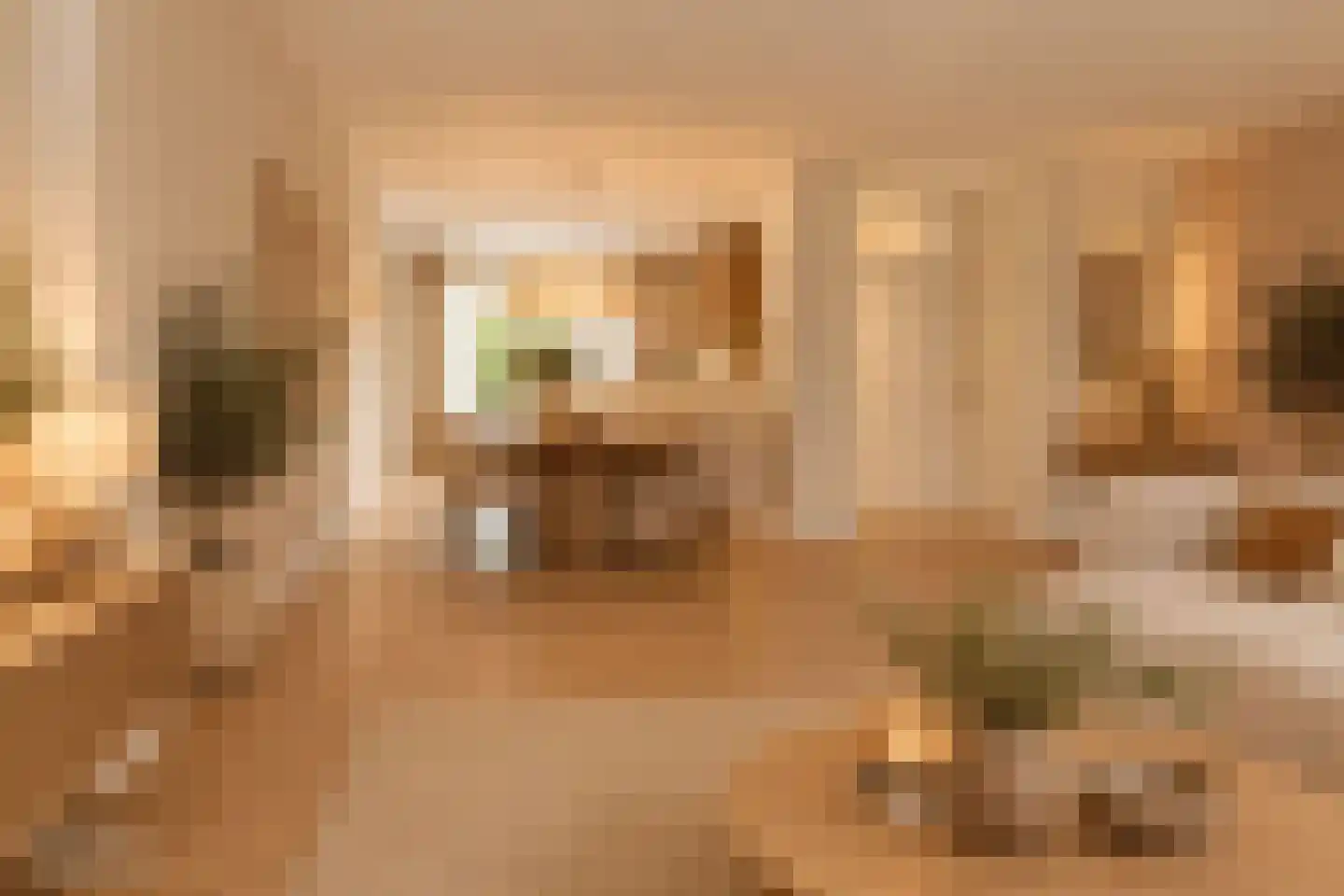 Diepenbrockstraat 55 Schijndel thumbnail 8