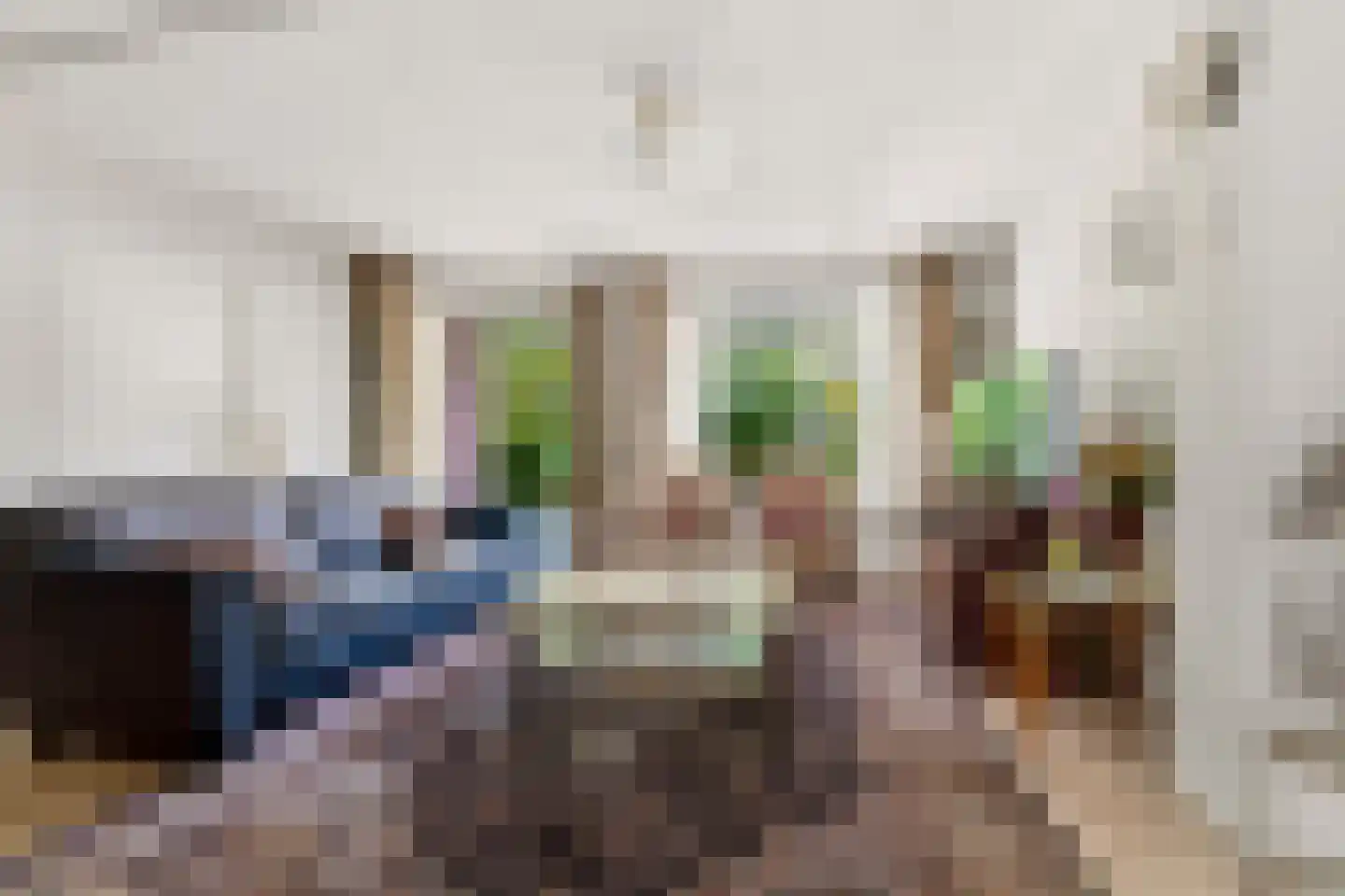 Diepenbrockstraat 55 Schijndel thumbnail 8
