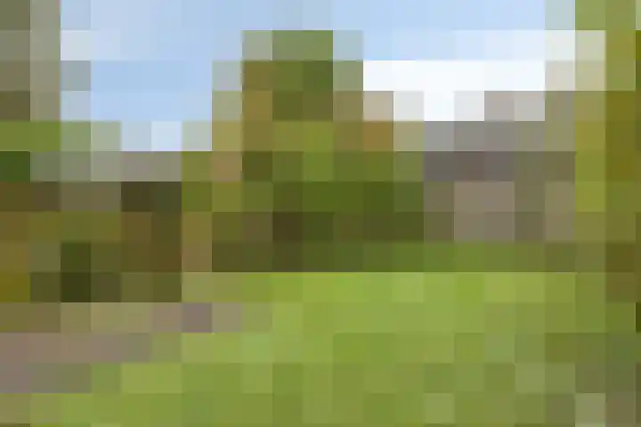 Diepenbrockstraat 6 Dirksland thumbnail 37