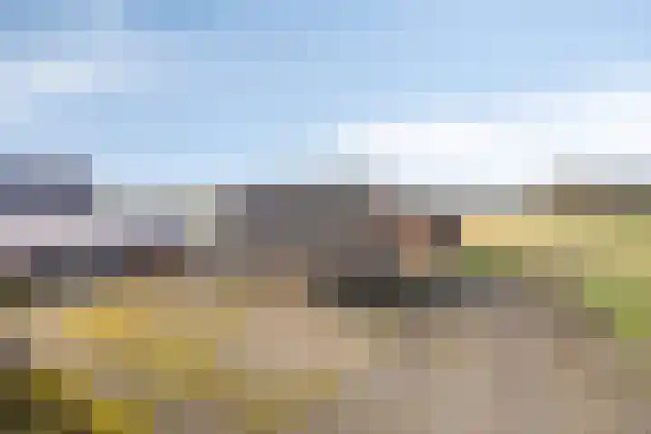 Diepenbrockstraat 6 Dirksland thumbnail 6