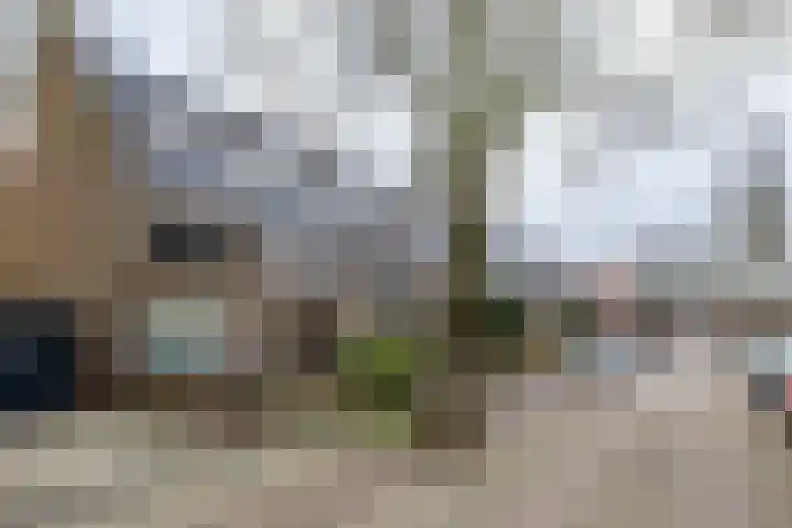 Diepenbrockstraat 62 Leeuwarden thumbnail 8