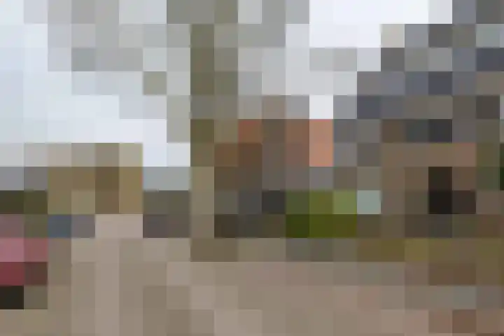 Diepenbrockstraat 62 Leeuwarden thumbnail 9
