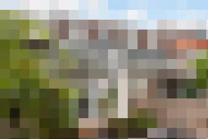 Diepenbrockstraat 77 Vlaardingen thumbnail 11