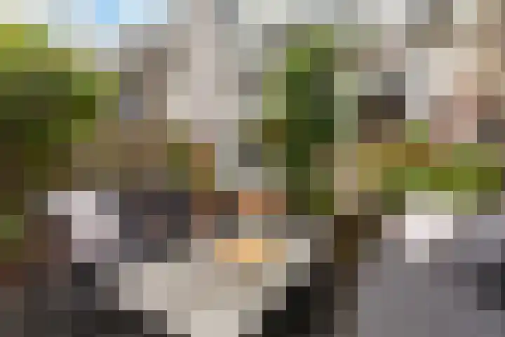 Diepenbrockstraat 77 Vlaardingen thumbnail 12