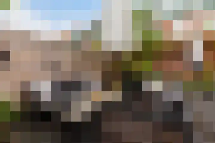 Diepenbrockstraat 77 Vlaardingen thumbnail 13