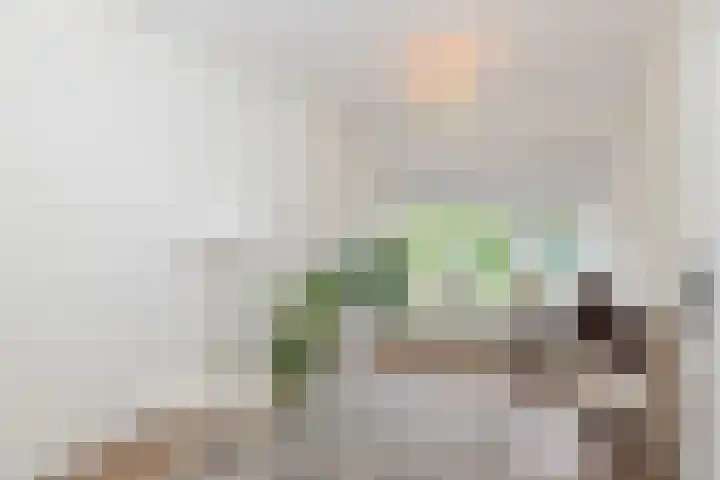 Diepenbrockstraat 77 Vlaardingen thumbnail 18
