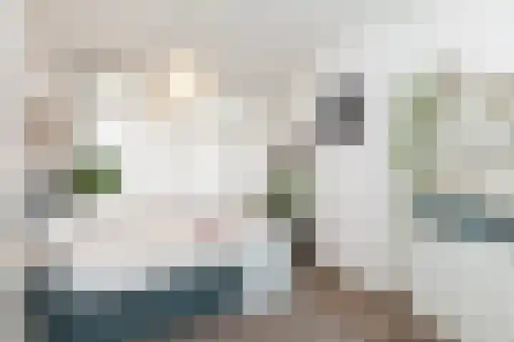Diepenbrockstraat 77 Vlaardingen thumbnail 31