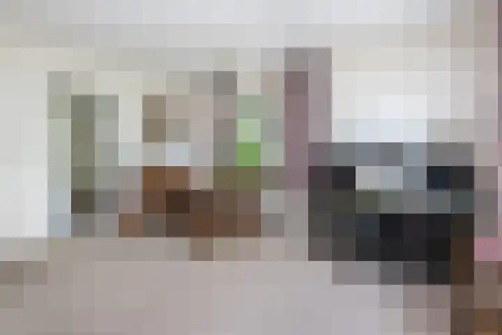Diepenbrockstraat 8 Dirksland thumbnail 9