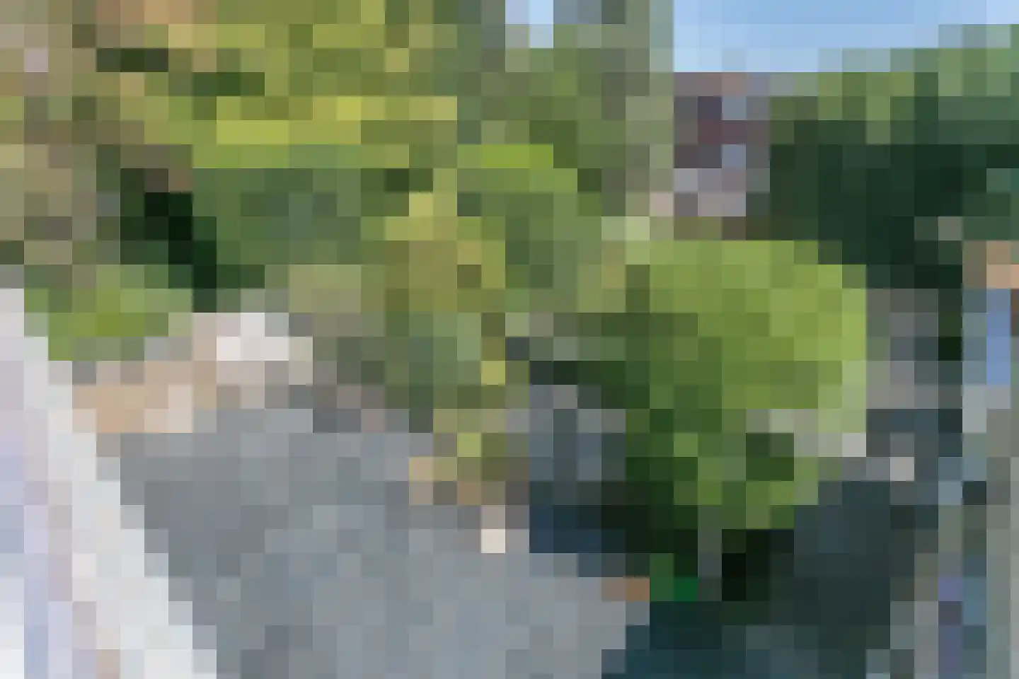 Diepenbrockstraat 9 Brunssum thumbnail 30