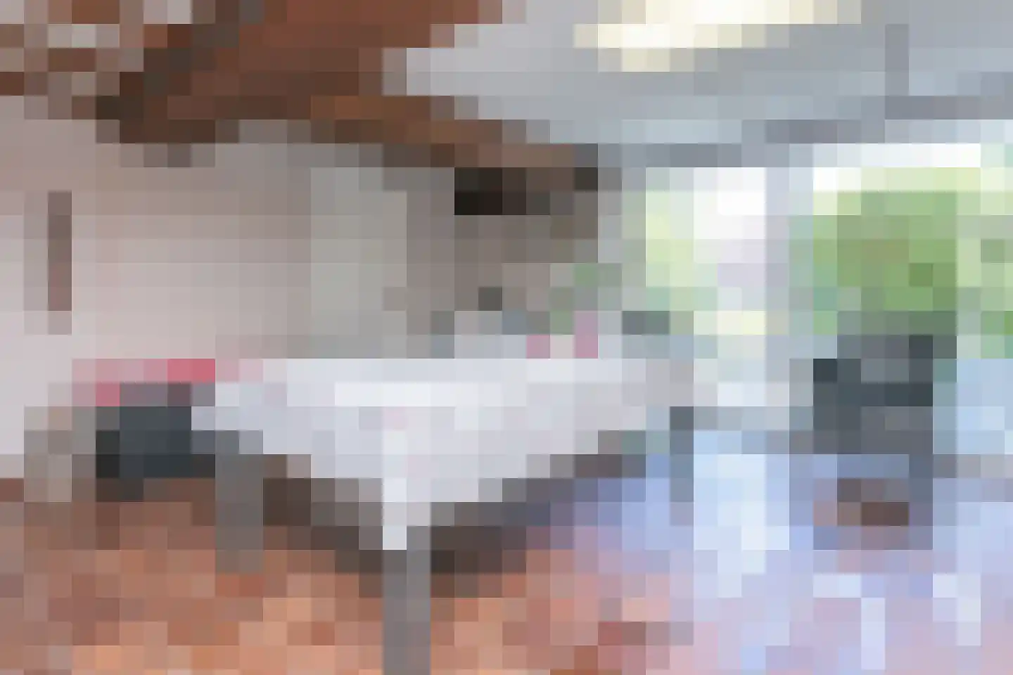 Diepenbrockstraat 9 Brunssum thumbnail 37