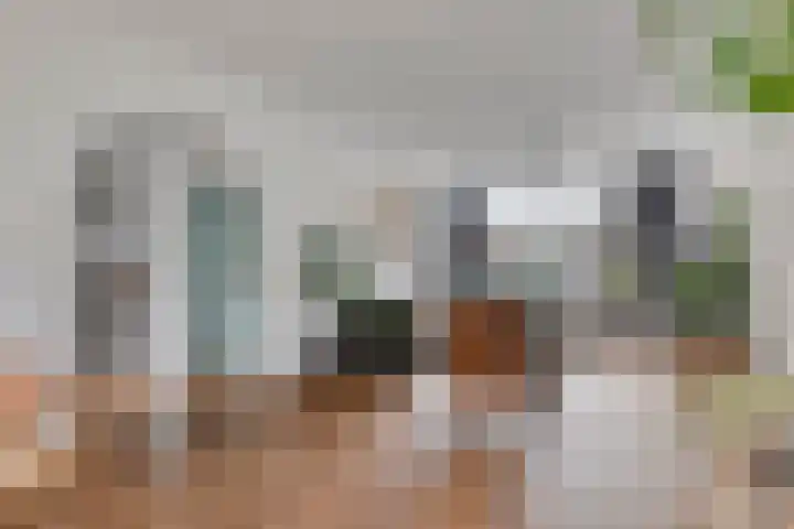 Diepenbrockstraat 9 Kaatsheuvel thumbnail 7