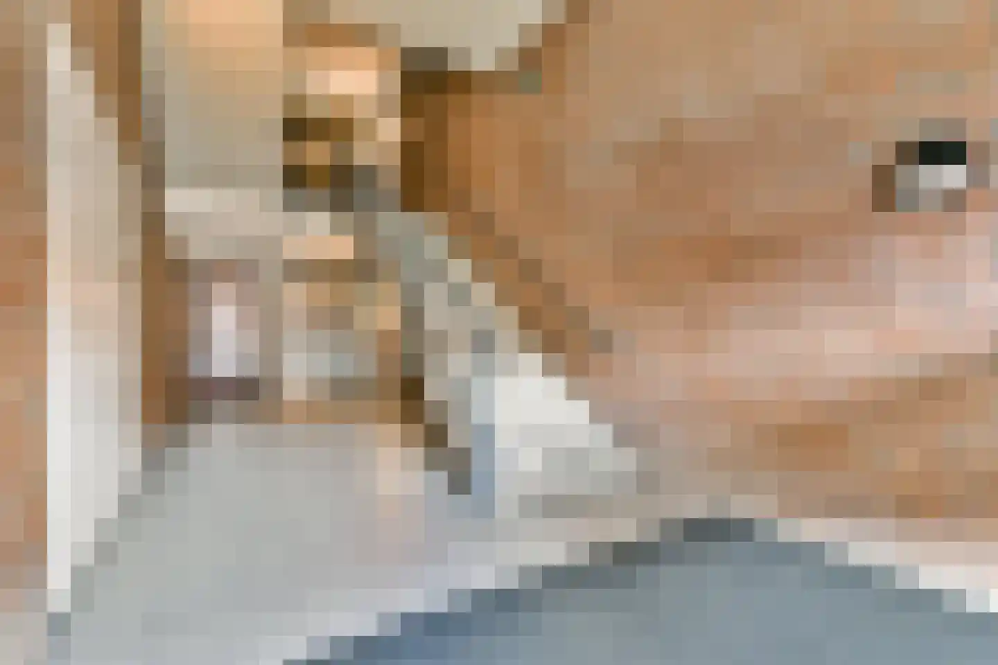 Diepenbrockstraat 92 Haarlem thumbnail 17