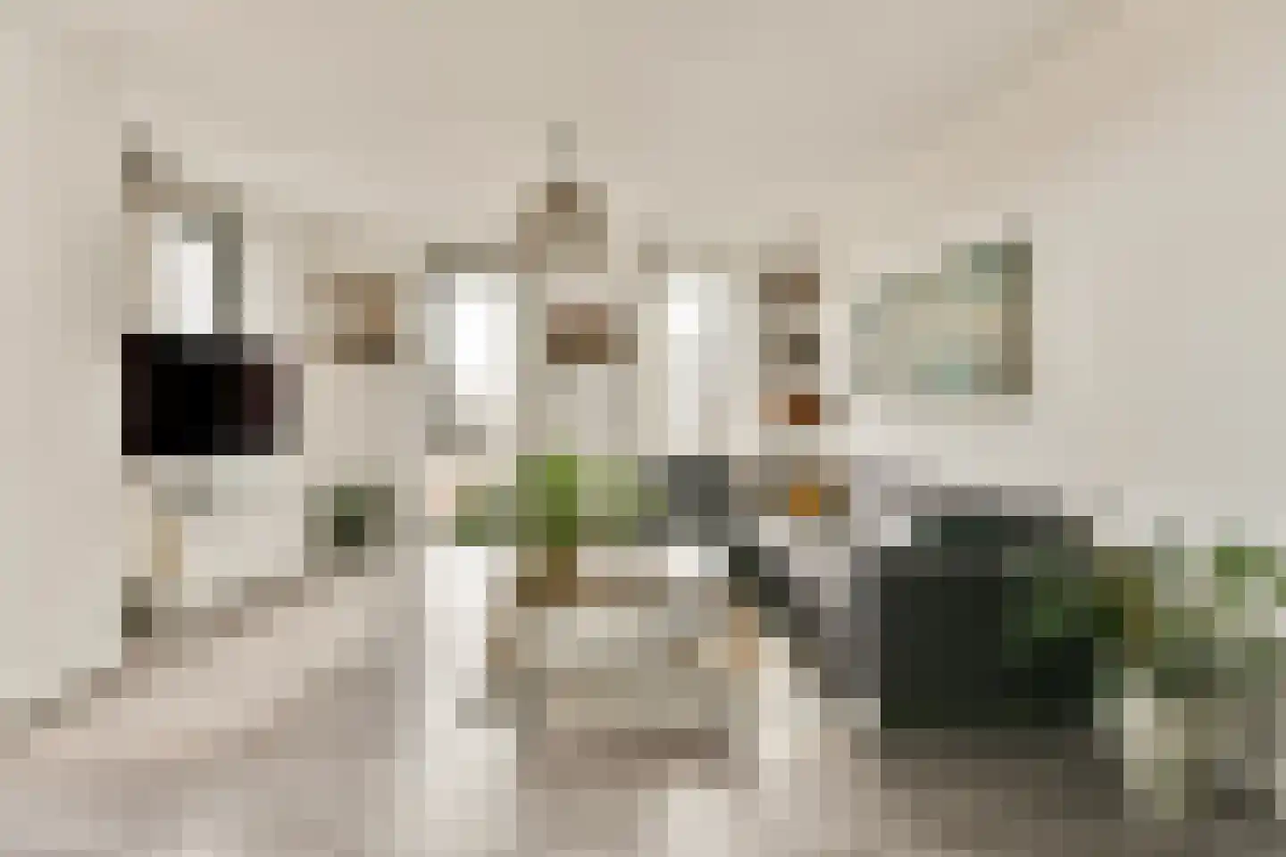 Diepenbrockstraat 92 Haarlem thumbnail 5