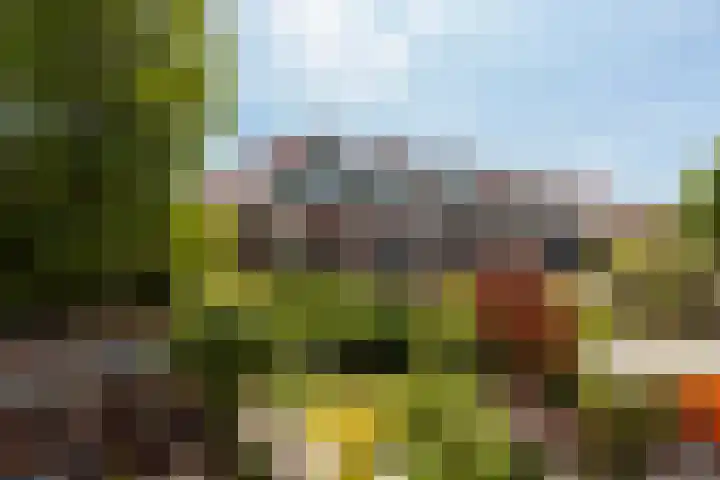Diepenbrockstraat 99 Vlaardingen thumbnail 23