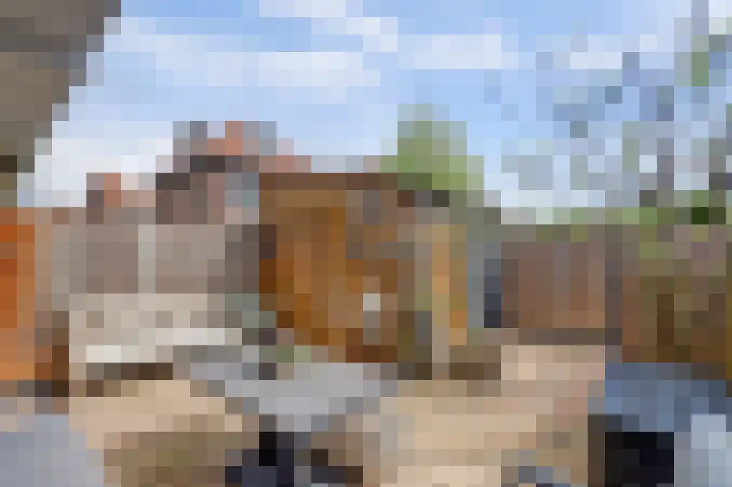 Diepenbrockweg 124 Dordrecht thumbnail 52