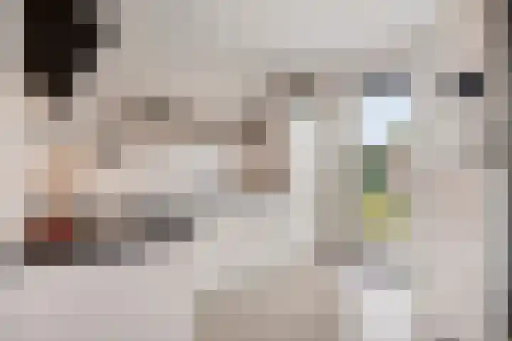 Diepenbroeklaan 78 Baarlo thumbnail 12