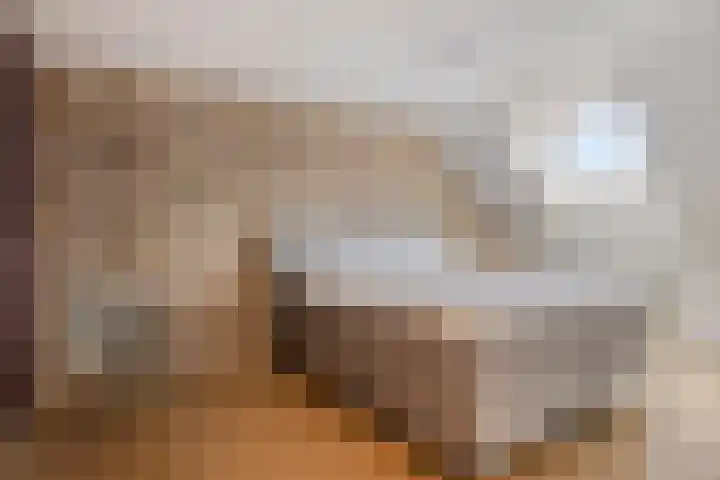 Diepenbroeklaan 78 Baarlo thumbnail 16