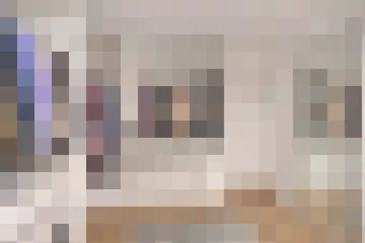 Diepenbroeklaan 78 Baarlo thumbnail 22