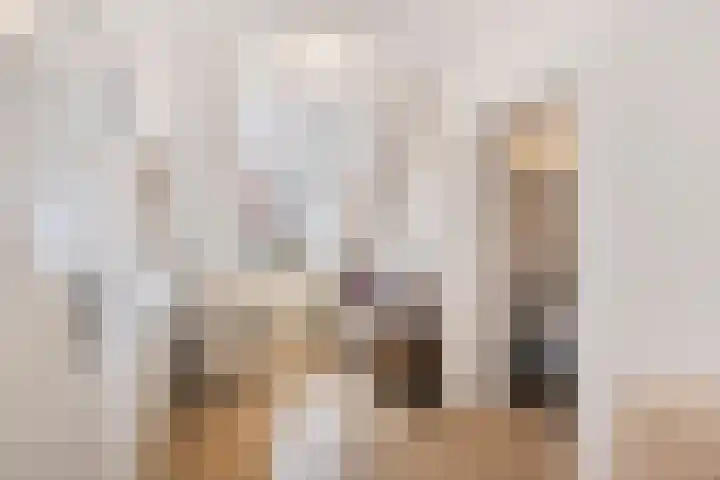 Diepenbroeklaan 78 Baarlo thumbnail 23