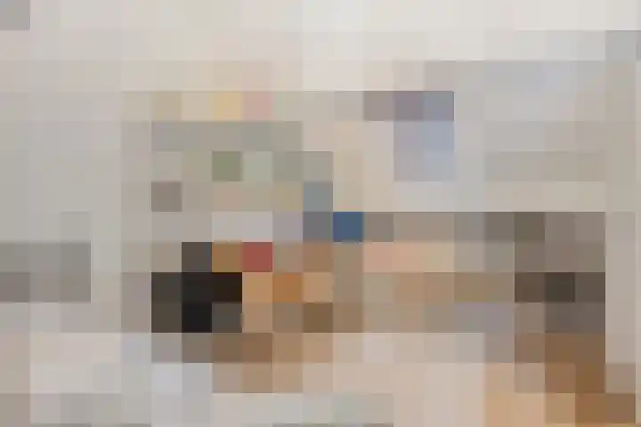 Diepenbroeklaan 78 Baarlo thumbnail 25