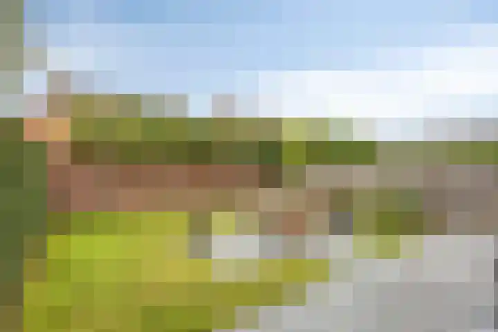 Diepenbroeklaan 78 Baarlo thumbnail 31
