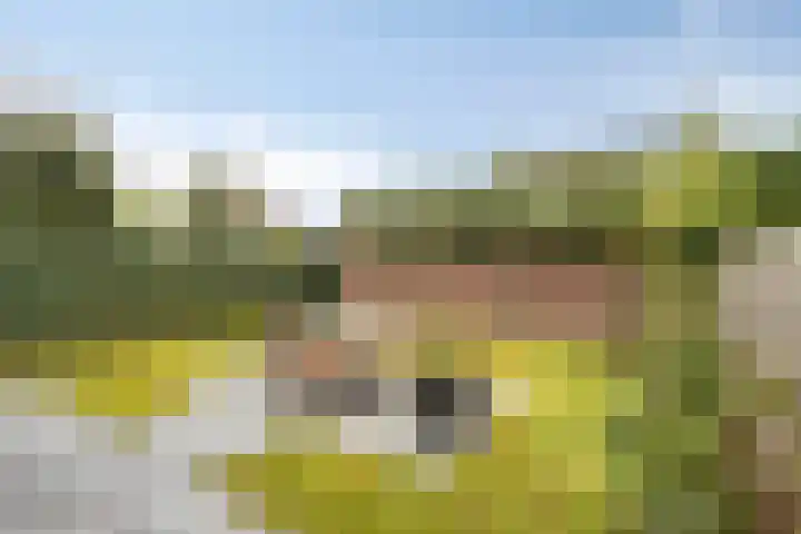 Diepenbroeklaan 78 Baarlo thumbnail 32