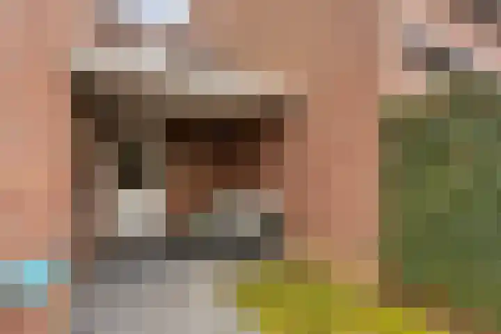 Diepenbroeklaan 78 Baarlo thumbnail 34