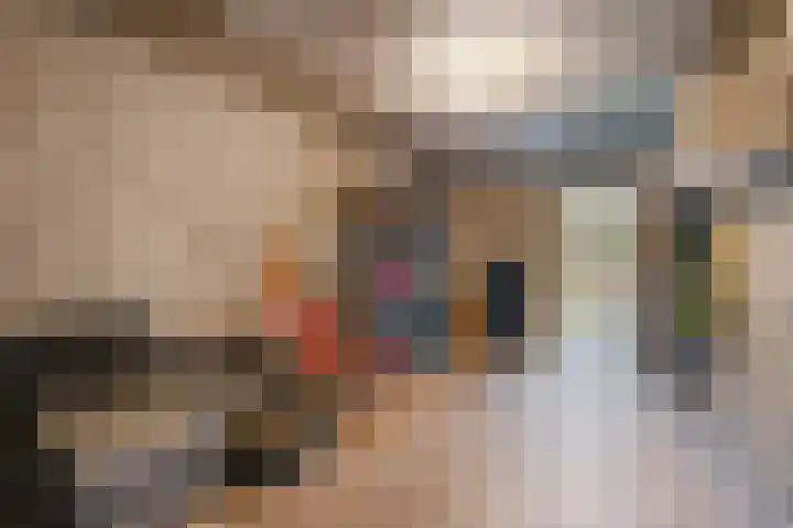 Diepenbroeklaan 78 Baarlo thumbnail 37