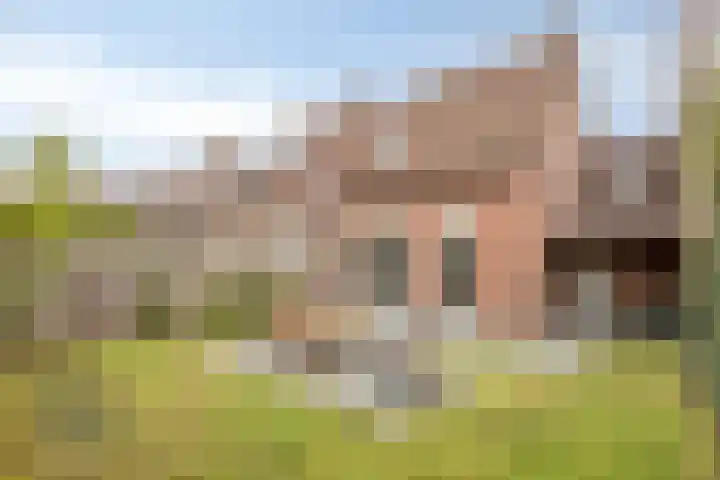 Diepenbroeklaan 78 Baarlo thumbnail 4