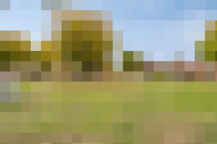 Diepenbroeklaan 78 Baarlo thumbnail 41