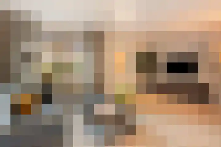 Diepenbroeklaan 78 Baarlo thumbnail 8