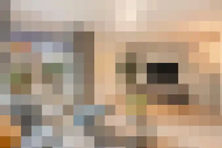 Diepenbroeklaan 78 Baarlo thumbnail 9