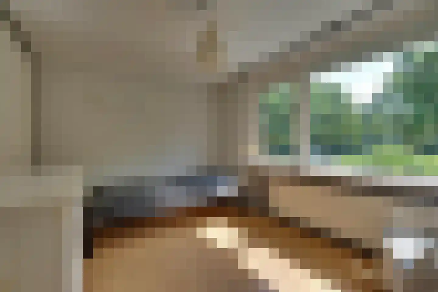 Diepenbroekstraat 15 Wehl thumbnail 17