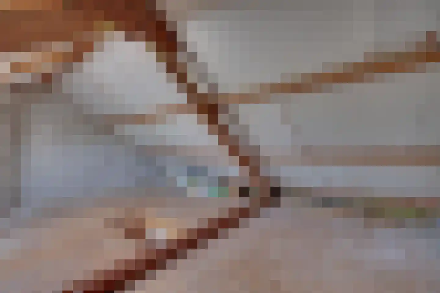 Diepenbroekstraat 15 Wehl thumbnail 24