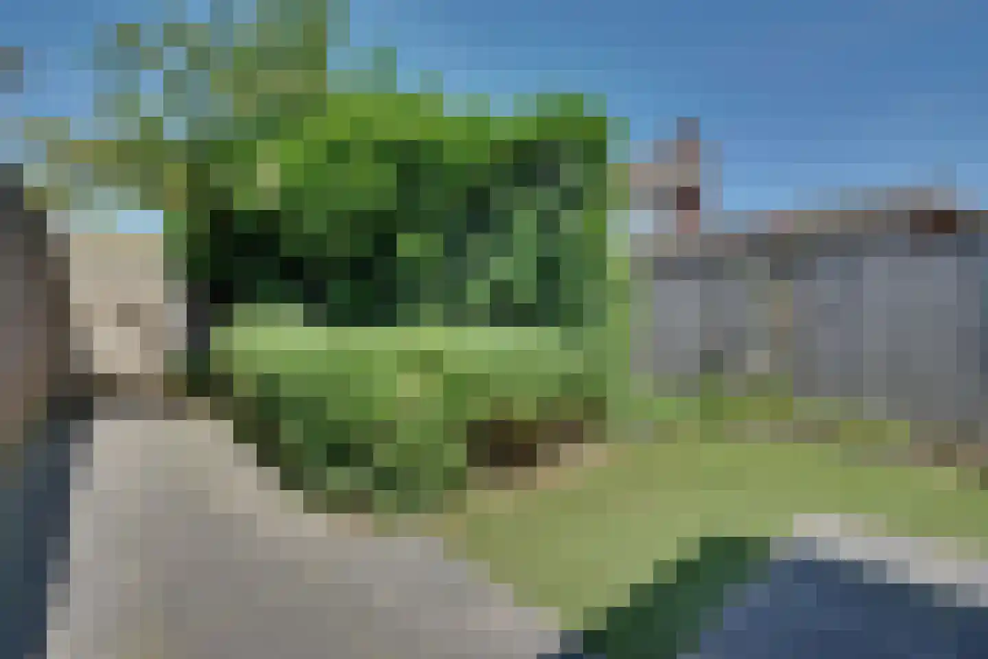 Diepenbroekstraat 15 Wehl thumbnail 27