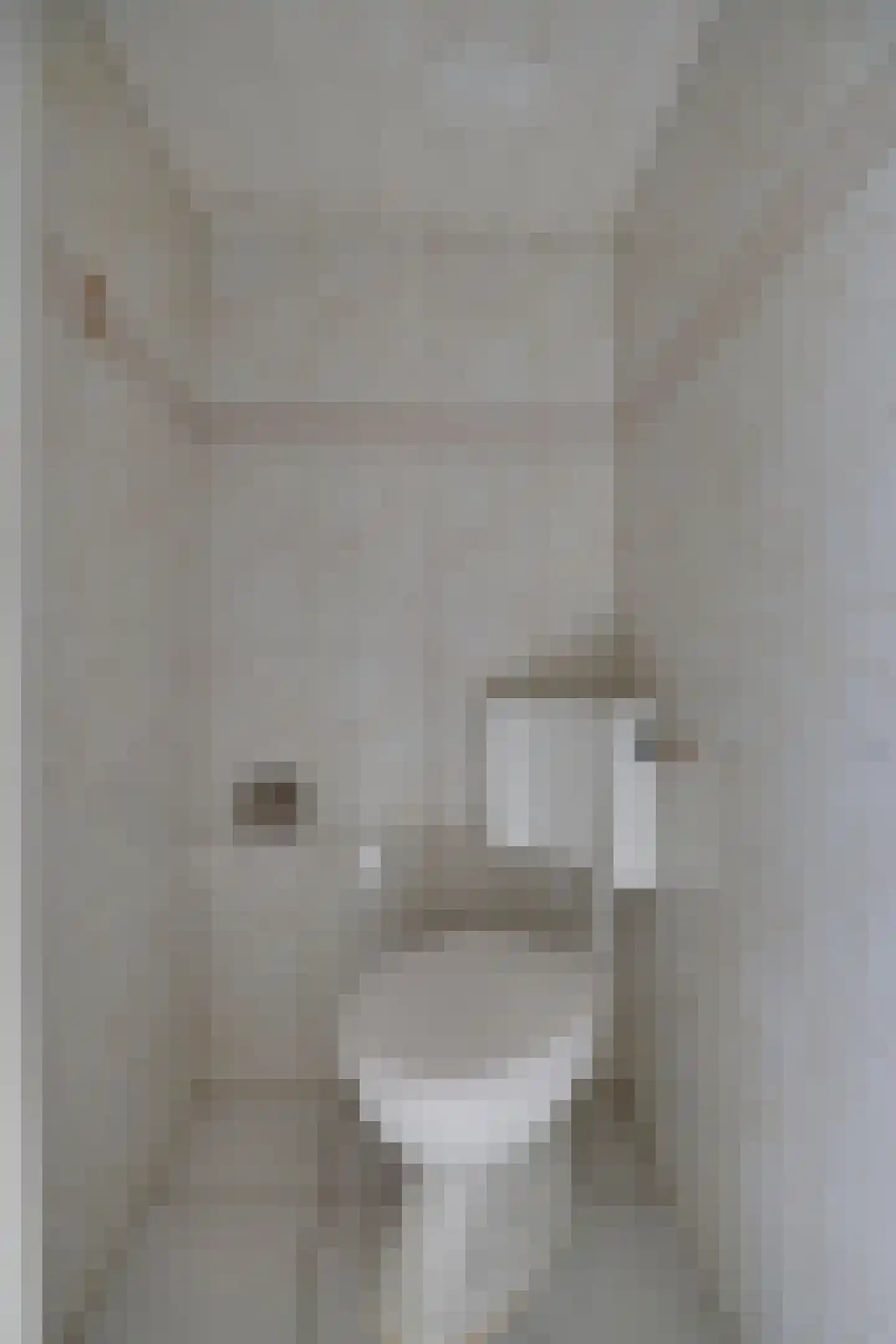Diepenbroekstraat 15 Wehl thumbnail 5