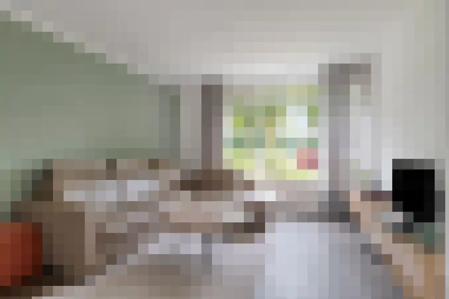 Diepenbroekstraat 19 Wehl thumbnail 10