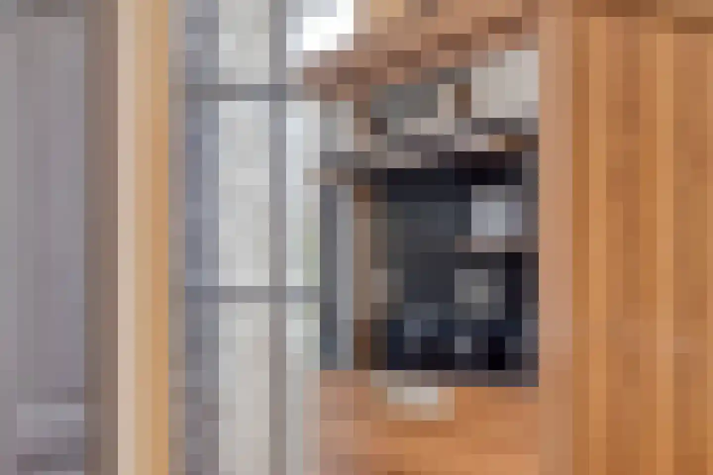 Diepenbroekstraat 19 Wehl thumbnail 18