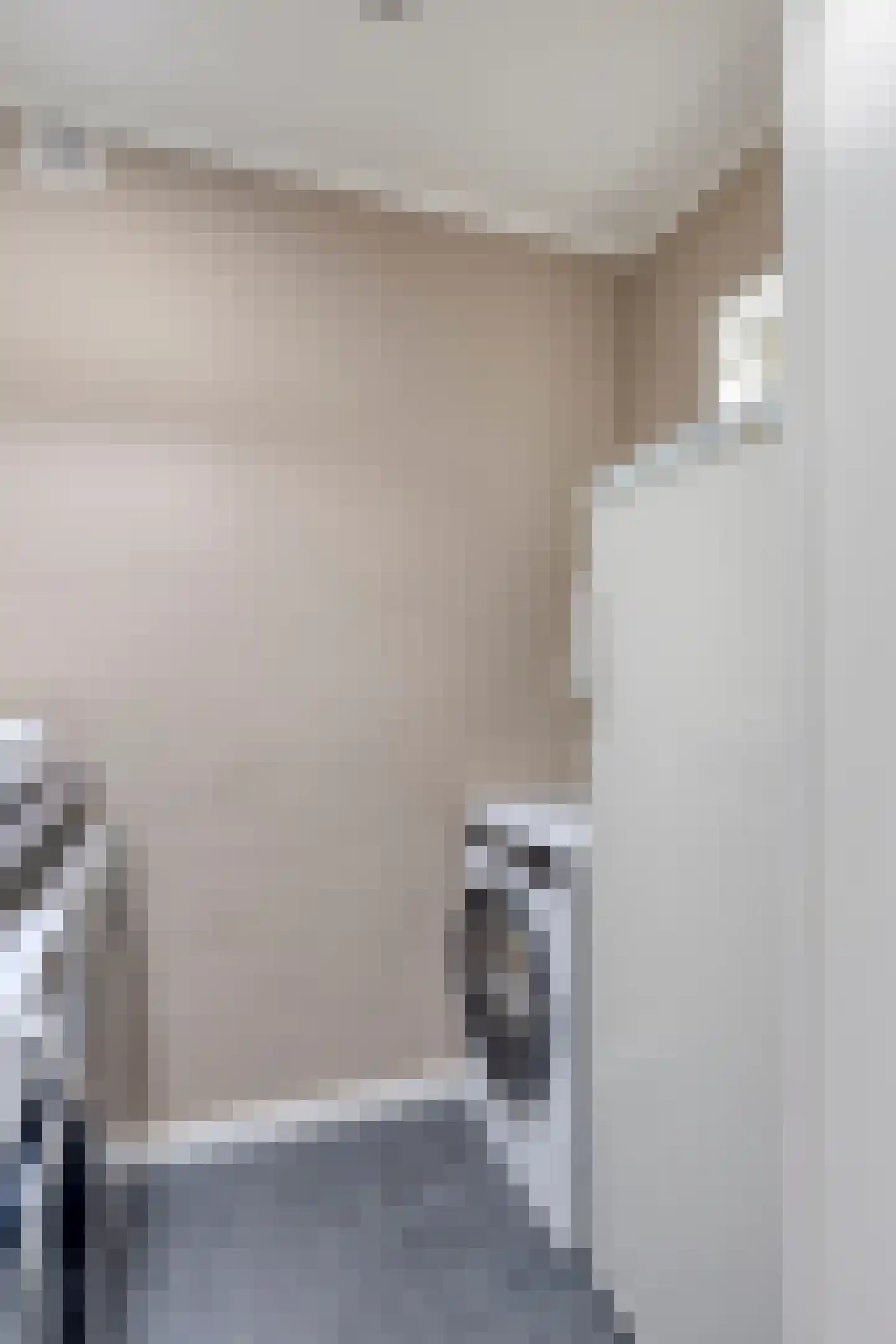 Diepenbroekstraat 19 Wehl thumbnail 22