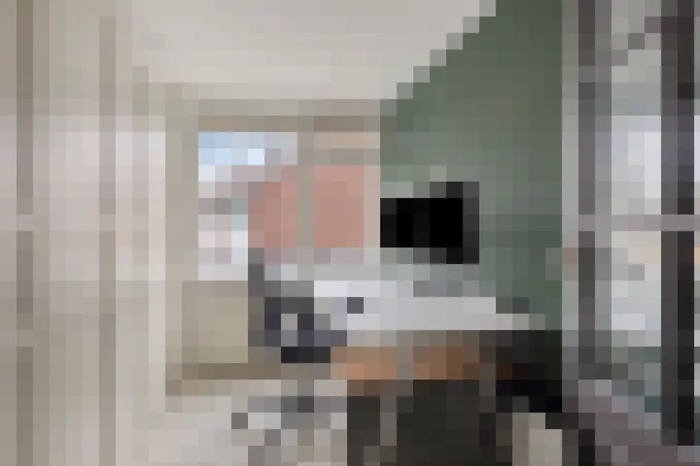Diepenbroekstraat 19 Wehl thumbnail 29