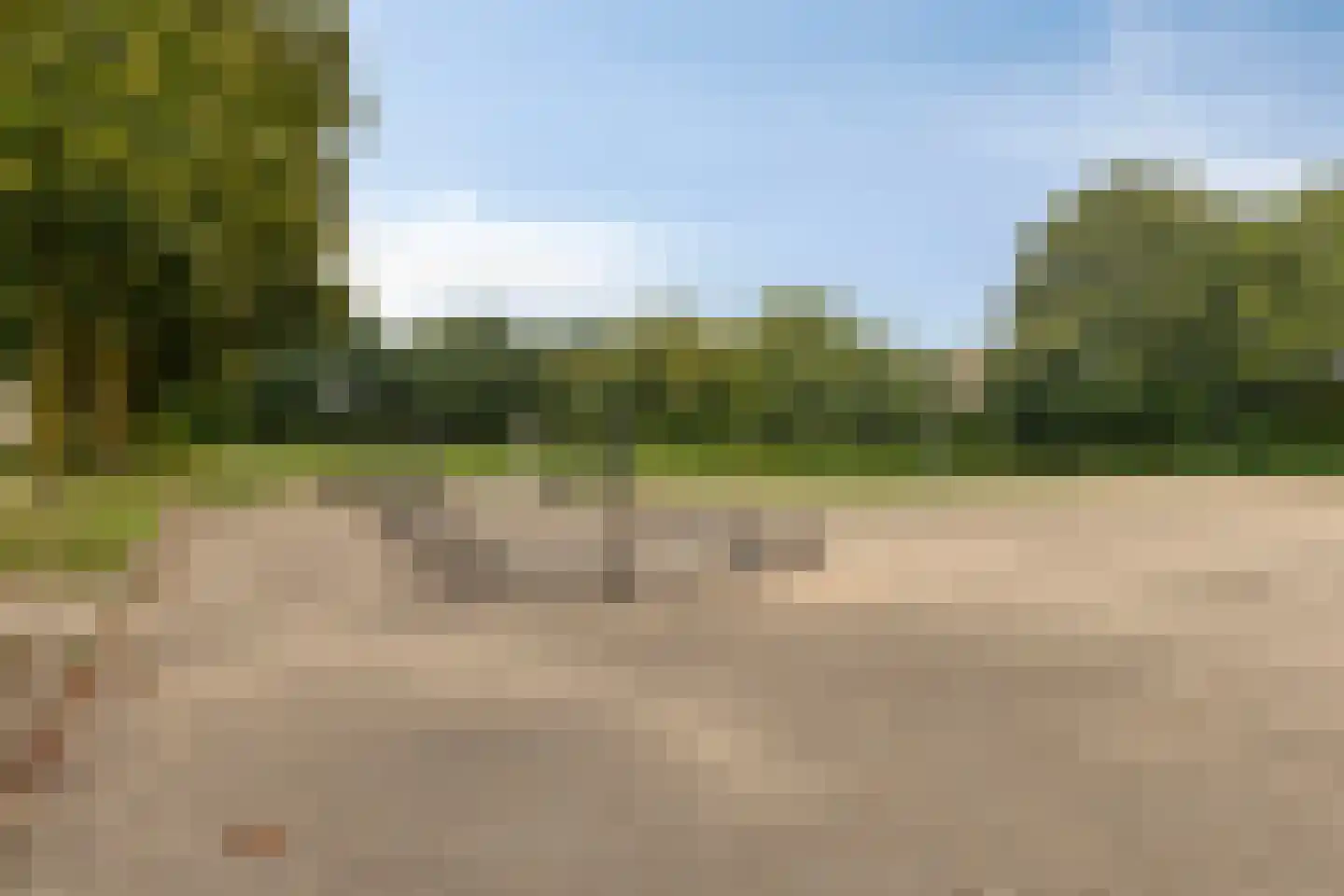 Diepenbroekstraat 19 Wehl thumbnail 45
